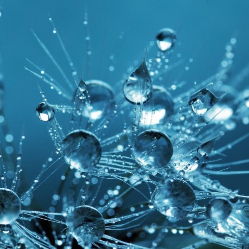 Comment retrouver une eau pure et sans calcaire